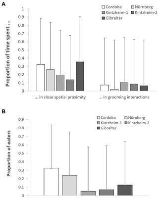 Intra-specific Variation in the Social Behavior of Barbary macaques (Macaca sylvanus)